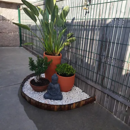 Acogedor Con Terraza Y Barbacoa 公寓